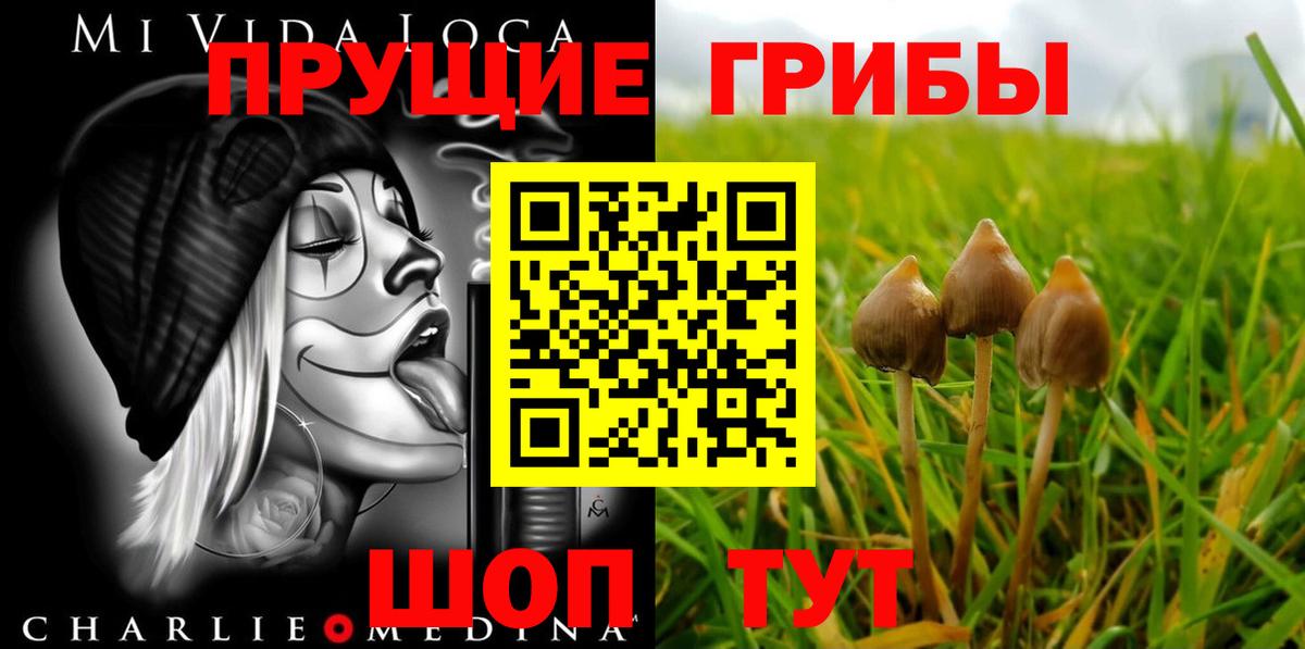 Псилоцибиновые грибы мицелий Всеволожск